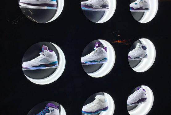 展示品★NIKE Air Jordan Charlotte Hornets Collection　【ナイキ エアジョーダン シャーロットホーネッツ コレクション】