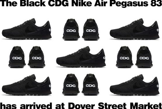 ★COMME DES GARÇONS X NIKE AIR PEGASUS 83　【コムデギャルソン×ナイキ エア ペガサス８３】